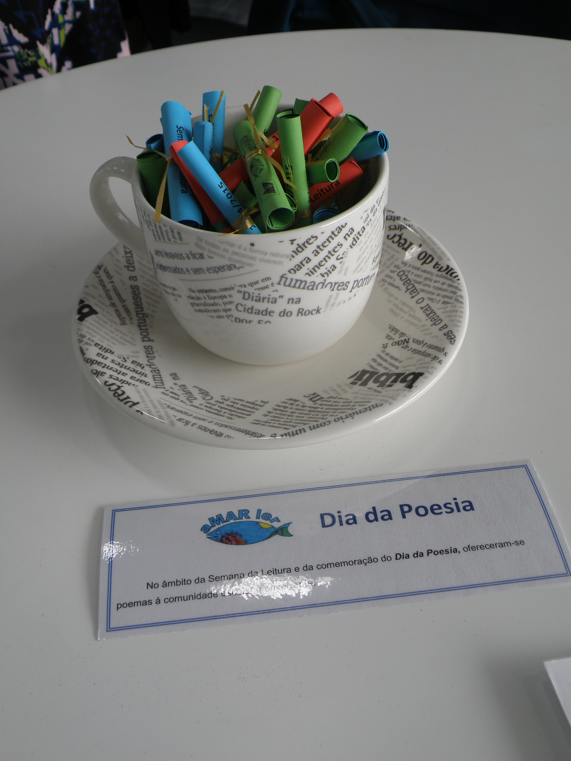Mostra Educativa 2015 (8).JPG